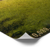  Cambridge England, St. Johns Bridge Poster (Hoek)