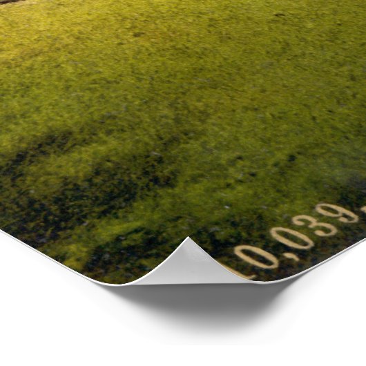  Cambridge England, St. Johns Bridge Poster (Hoek)