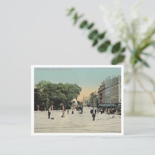 Cambridge MA, Harvard Square, 1910 Briefkaart (Staand voorkant)