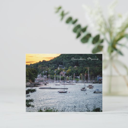 Camden Harbor Sunset Briefkaart (Staand voorkant)