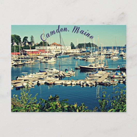 Camden Maine Post Card Briefkaart (Voorkant)