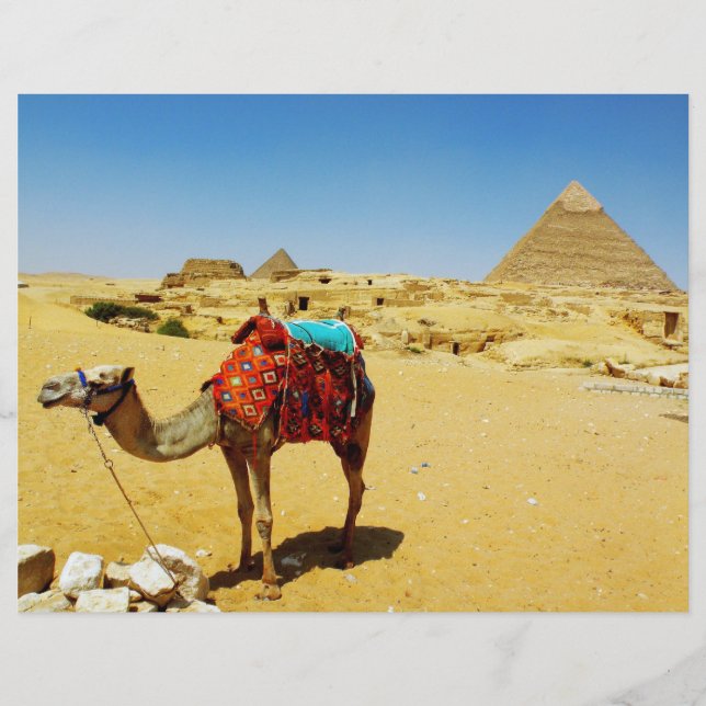 Camel (Voorkant)