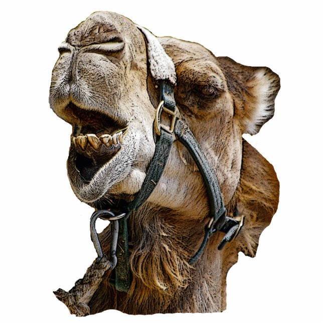 Camel Afbeelding Photo Sculpture Staand Fotobeeldje (Voorkant)