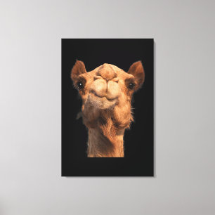 Camel Animal Face Canvas Afdruk