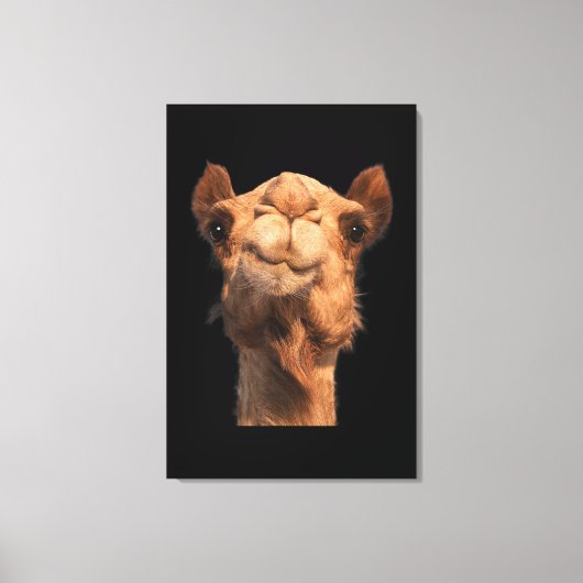 Camel Animal Face Canvas Afdruk (Voorkant)
