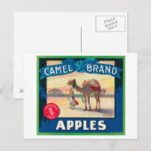 Camel Apple Label - staat Washington Briefkaart (Voorkant / Achterkant)