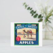 Camel Apple Label - staat Washington Briefkaart (Staand voorkant)