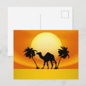 Camel at Sunset Briefkaart (Voorkant / Achterkant)