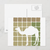 Camel Briefkaart (Voorkant / Achterkant)