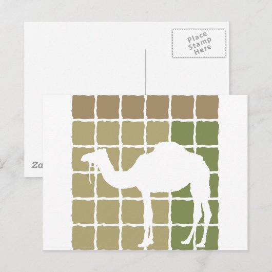 Camel Briefkaart (Voorkant / Achterkant)