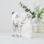 Camel Briefkaart (Staand voorkant)