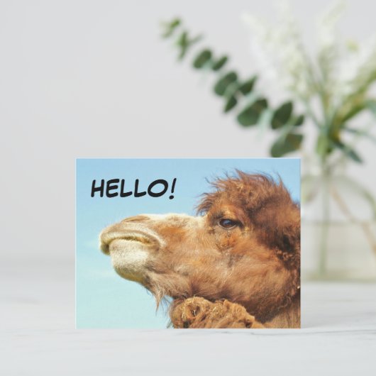Camel - Briefkaart (Staand voorkant)