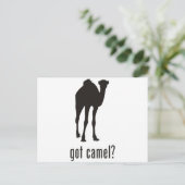 Camel Briefkaart (Staand voorkant)