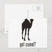 Camel Briefkaart (Voorkant / Achterkant)