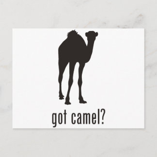 Camel Briefkaart