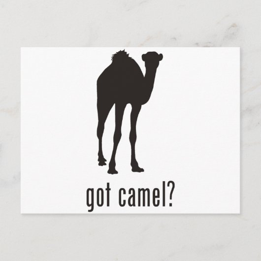 Camel Briefkaart (Voorkant)