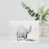 Camel Briefkaart (Staand voorkant)