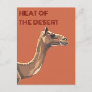 Camel Briefkaart