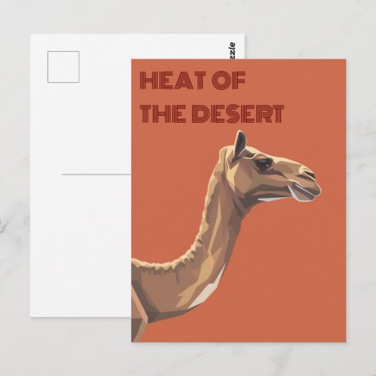 Camel Briefkaart (Voorkant / Achterkant)