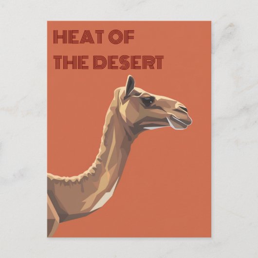 Camel Briefkaart (Voorkant)
