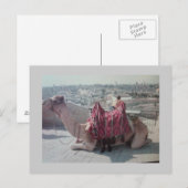 CAMEL BRIEFKAART (Voorkant / Achterkant)