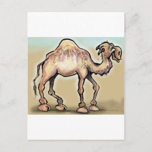 Camel Briefkaart