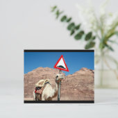 camel bult grens briefkaart (Staand voorkant)