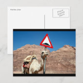 camel bult grens briefkaart (Voorkant / Achterkant)