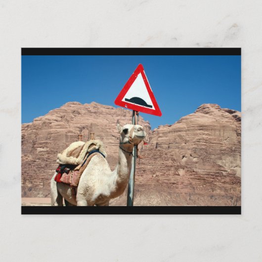 camel bult grens briefkaart (Voorkant)