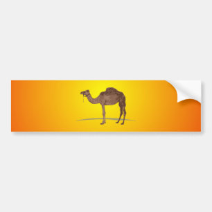 Camel Bumpersticker