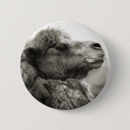 Camel Button (Voorkant)