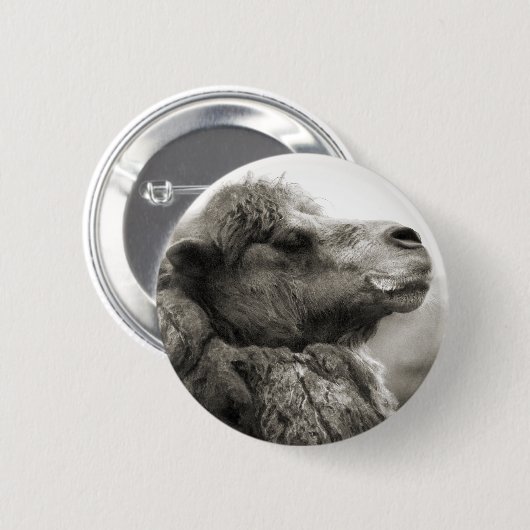 Camel Button (Voorkant /achterkant)