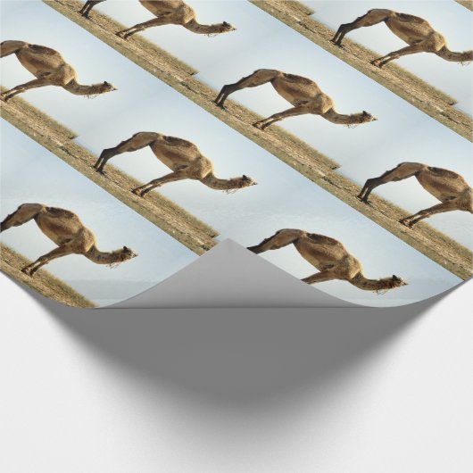 Camel Cadeaupapier (Hoek)