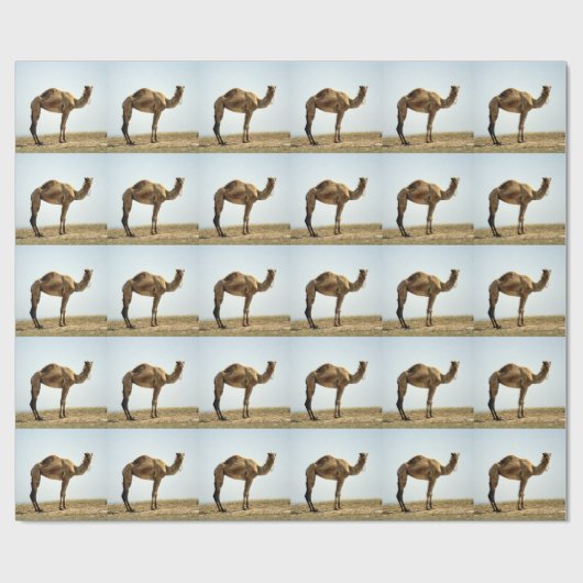 Camel Cadeaupapier (Vlak)
