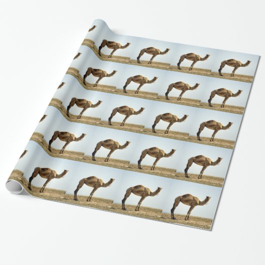 Camel Cadeaupapier (Uitgerold)