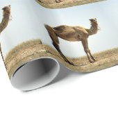 Camel Cadeaupapier (Rol Hoek)