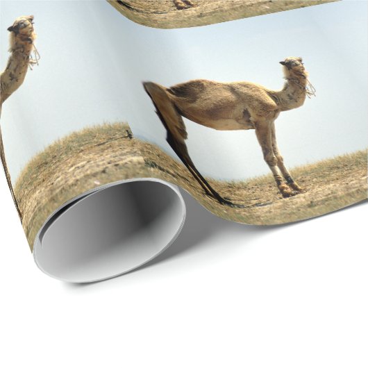 Camel Cadeaupapier (Rol Hoek)