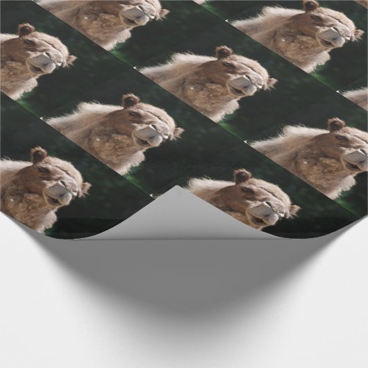 Camel Cadeaupapier (Hoek)