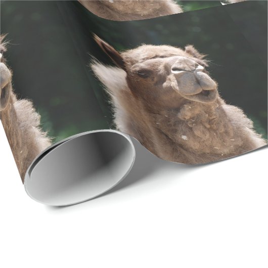 Camel Cadeaupapier (Rol Hoek)