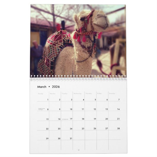 Camel Calendar Kalender (Mar 2026)