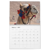 Camel Calendar Kalender (Feb 2027)