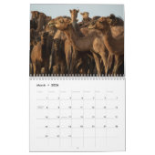 Camel Calendar Kalender (Mar 2026)