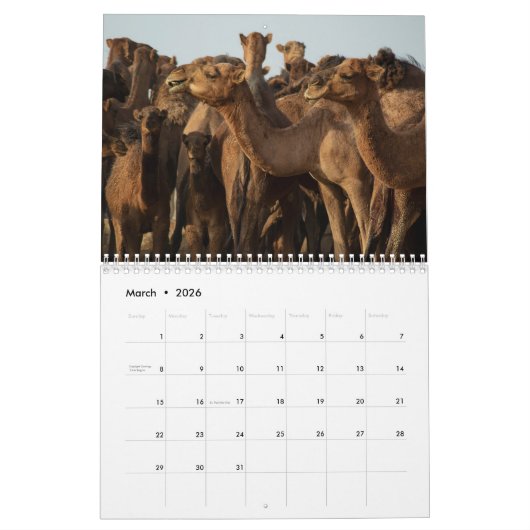 Camel Calendar Kalender (Mar 2026)