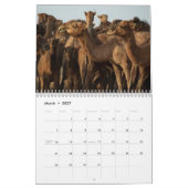 Camel Calendar Kalender (Mar 2027)