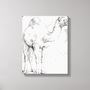 Camel Canvas Afdruk