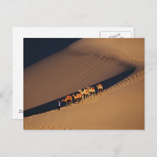 Camel caravan op de woestijn, Dunhuang, Gansu Briefkaart (Voorkant / Achterkant)
