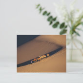 Camel caravan op de woestijn, Dunhuang, Gansu Briefkaart (Staand voorkant)