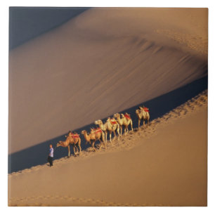 Camel caravan op de woestijn, Dunhuang, Gansu Tegeltje