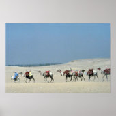 Camel caravan over de Sahara Poster (Voorkant)