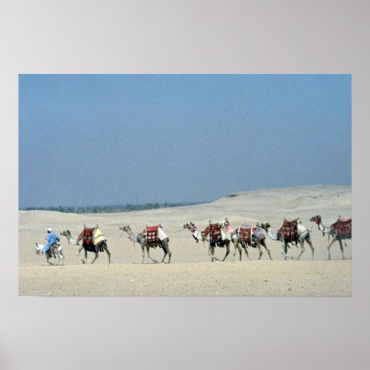 Camel caravan over de Sahara Poster (Voorkant)